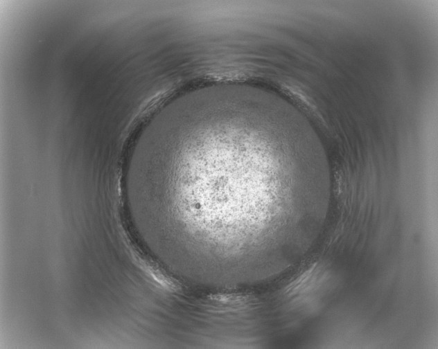 X0000063460733200601231417