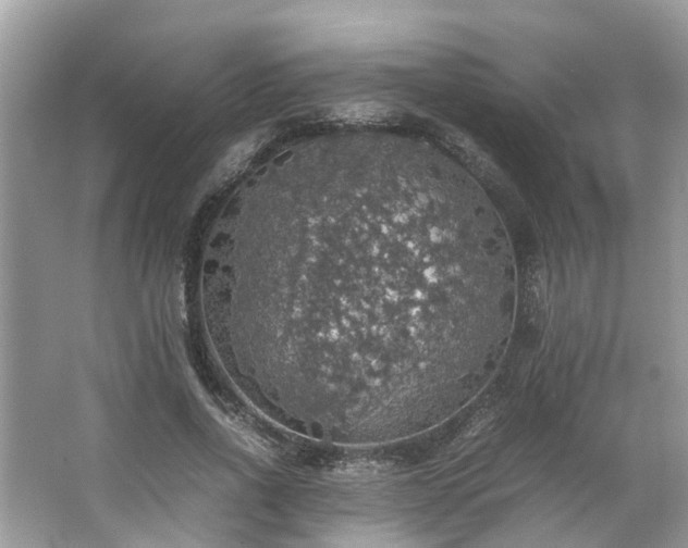 X0000063460734200601231417