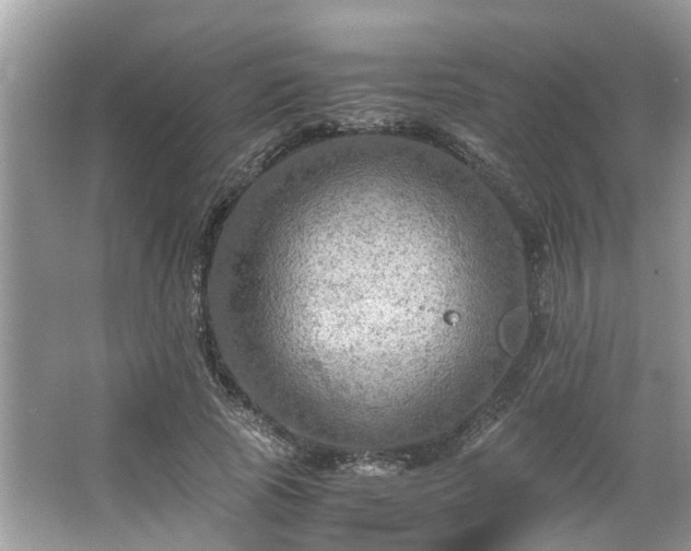 X0000063460737200601231417