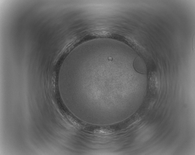 X0000063460739200601231418