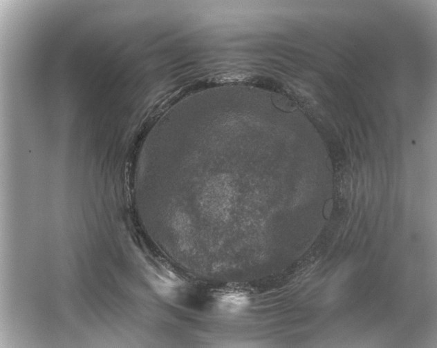 X0000063460743200601231418