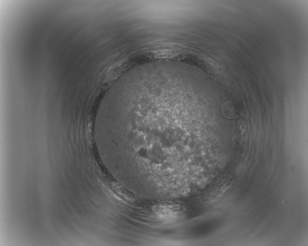 X0000063460745200601231418