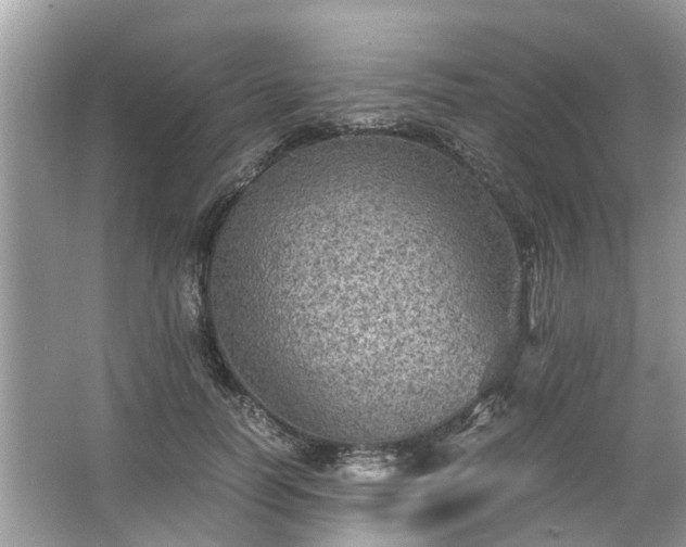 X0000063460746200601231418