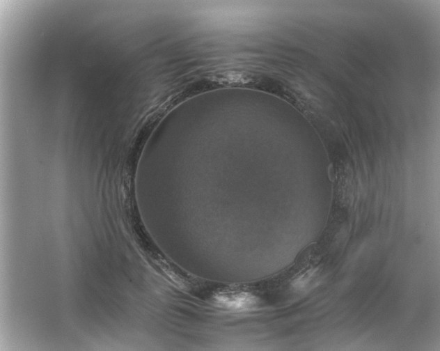 X0000063460747200601231418