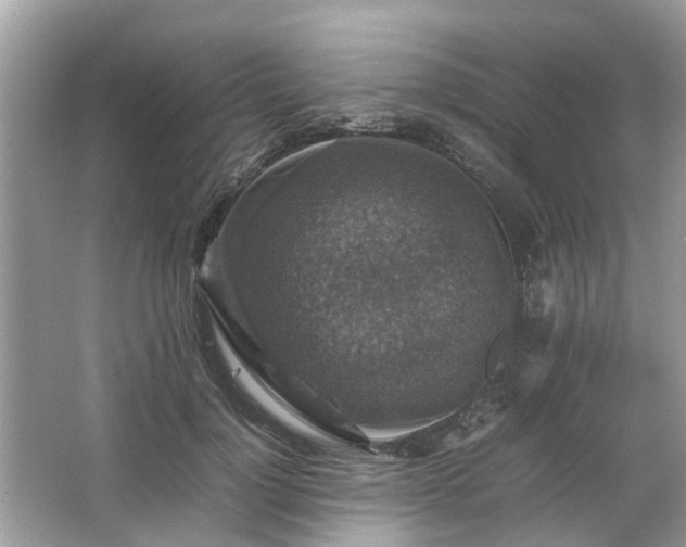 X0000063460748200601231418