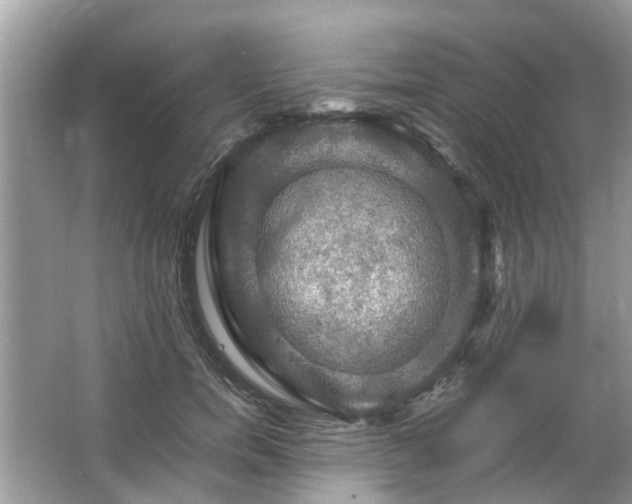 X0000063460750200601231418