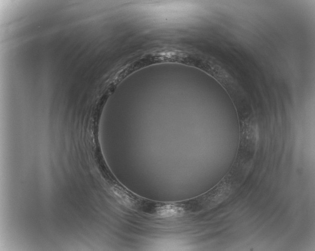 X0000063460754200601231418