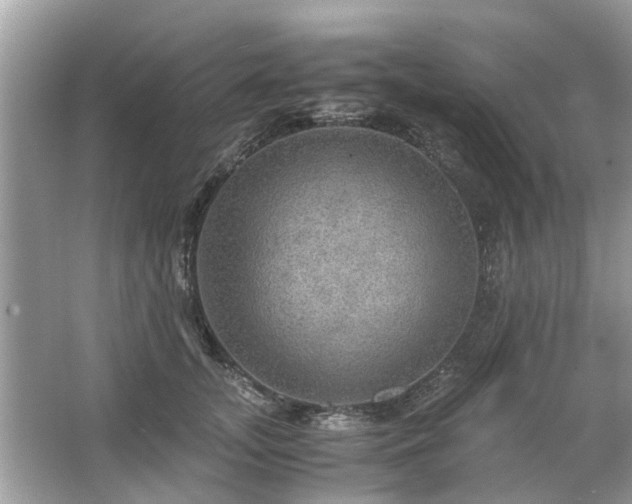 X0000063460755200601231418