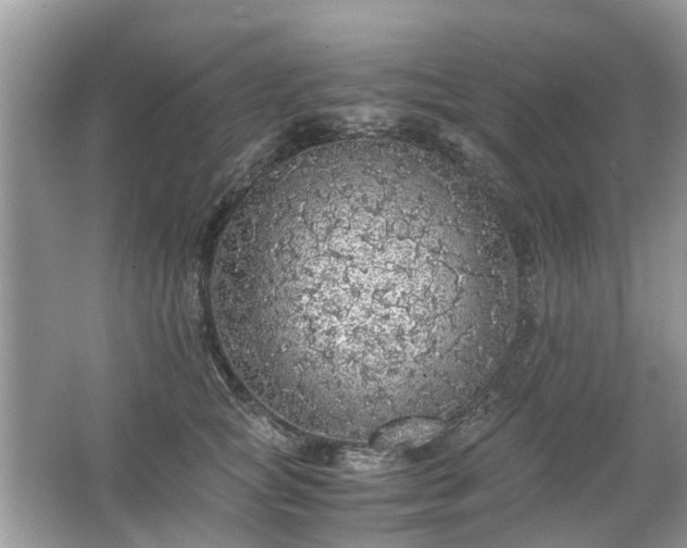 X0000063460757200601231418