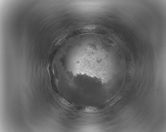 X0000063460758200601231418