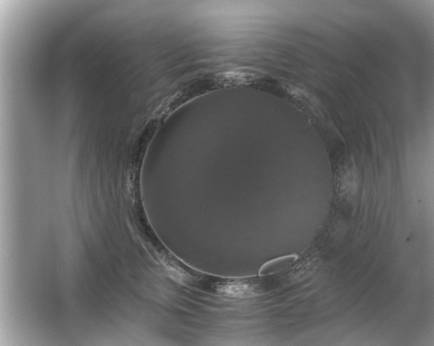 X0000063460759200601231418