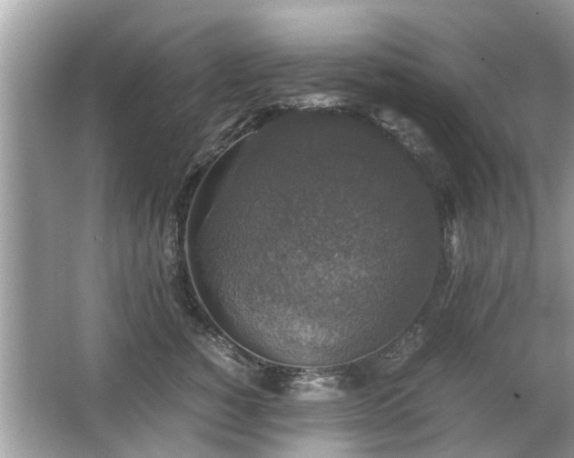 X0000063460760200601231418