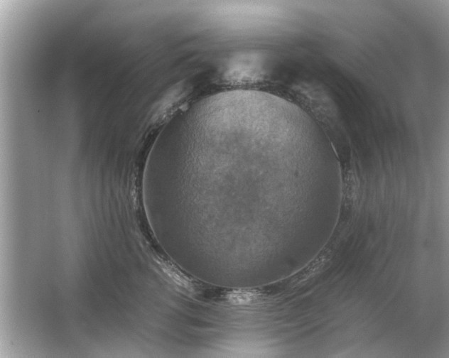 X0000063460762200601231418