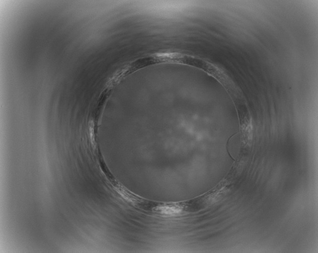 X0000063460765200601231418