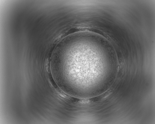 X0000063460767200601231418