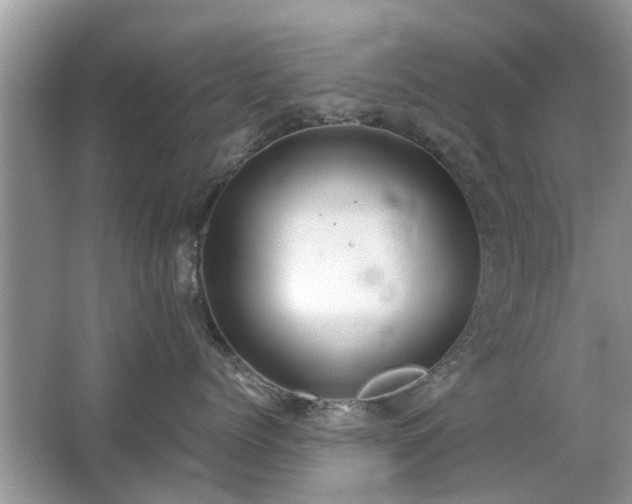 X0000063460768200601231418