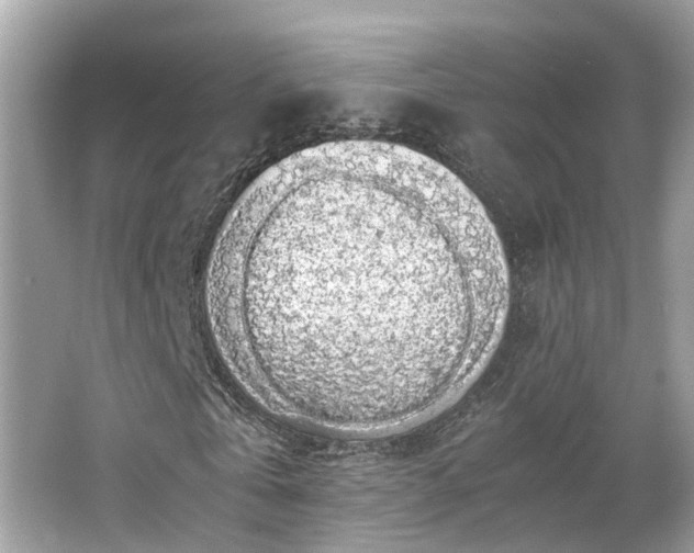 X0000063460769200601231417