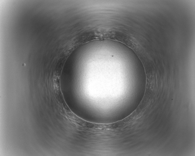 X0000063460770200601231417