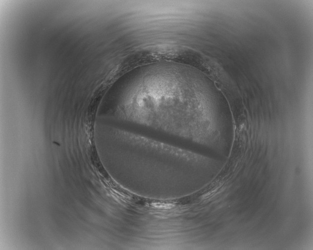 X0000063460772200601231417