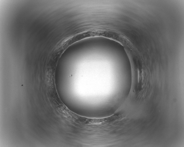 X0000063460773200601231417