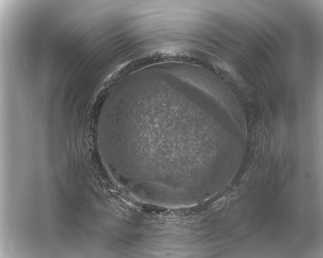 X0000063460776200601231417