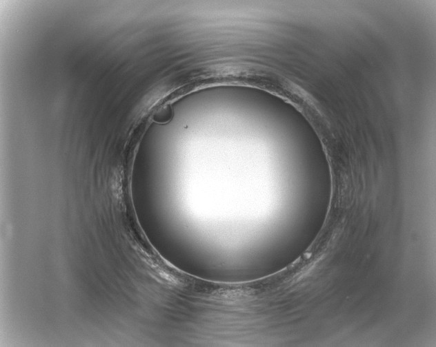 X0000063460778200601231417