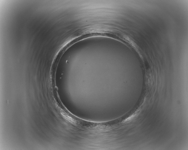 X0000063460779200601231417