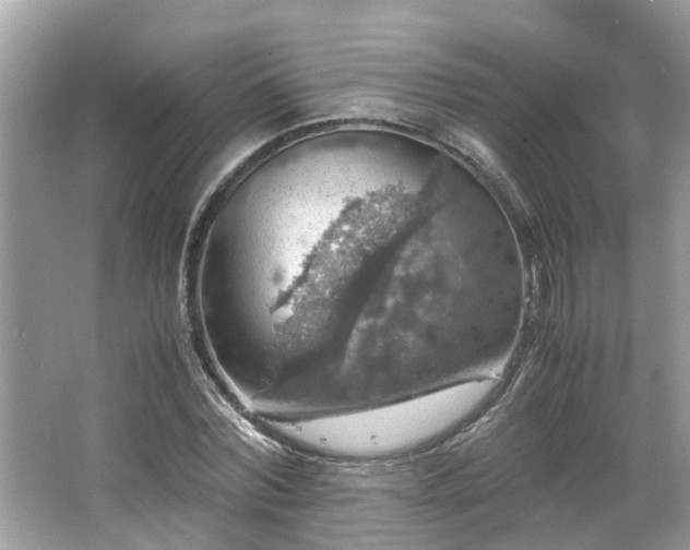 X0000063460780200601231417