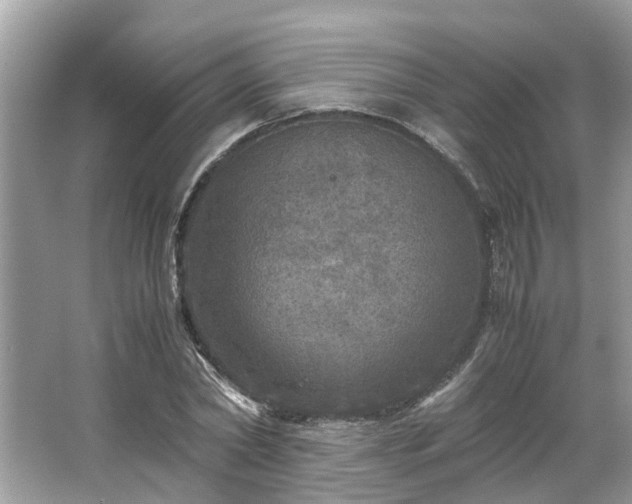 X0000063460782200601231417