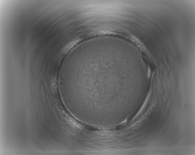 X0000063460785200601231417