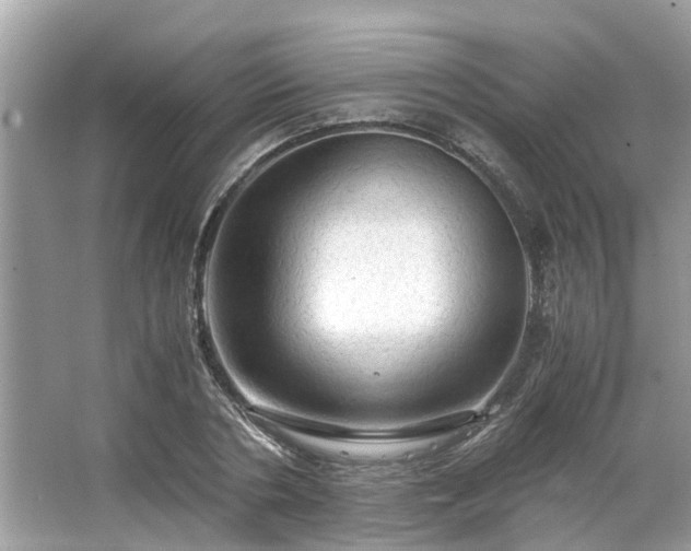 X0000063460786200601231417