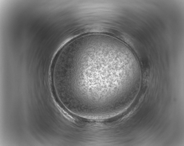 X0000063460787200601231417