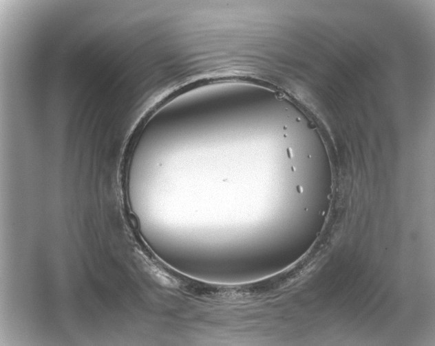 X0000063460789200601231417