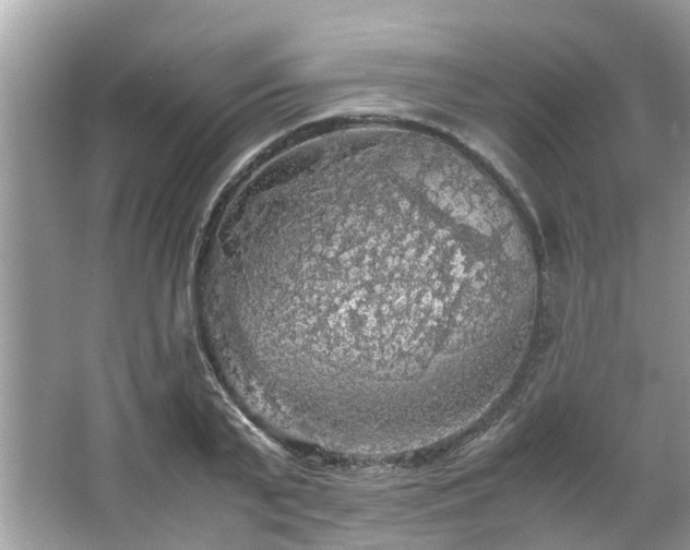 X0000063460791200601231417