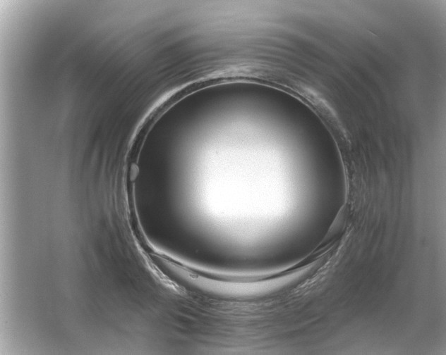 X0000063460792200601231417