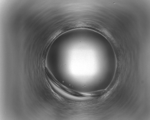 X0000063460793200601231417