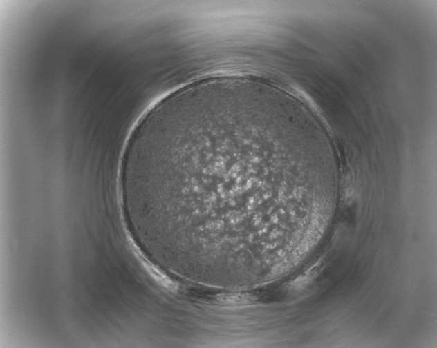 X0000063460795200601231417