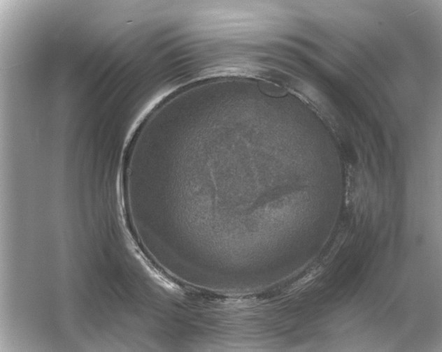 X0000063460796200601231417