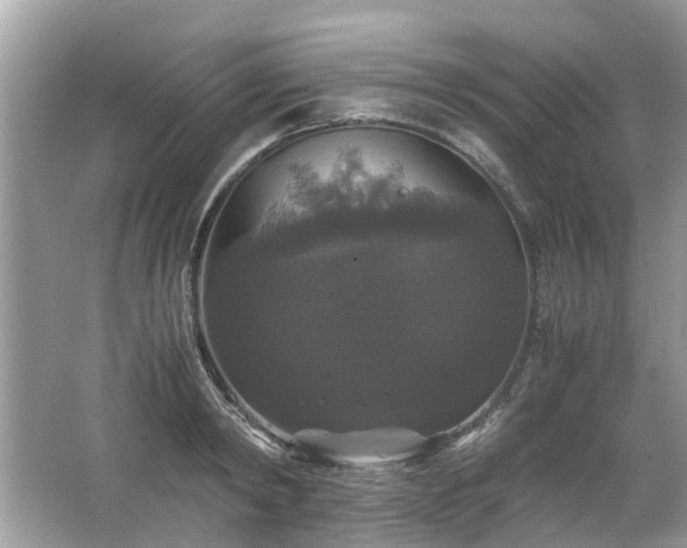 X0000063460798200601231417