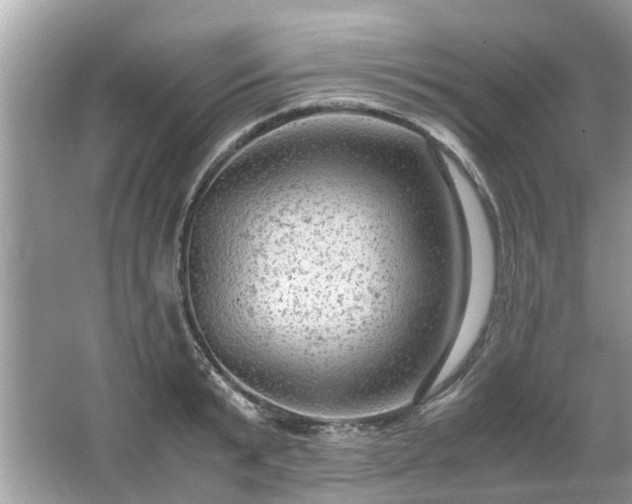 X0000063460799200601231417