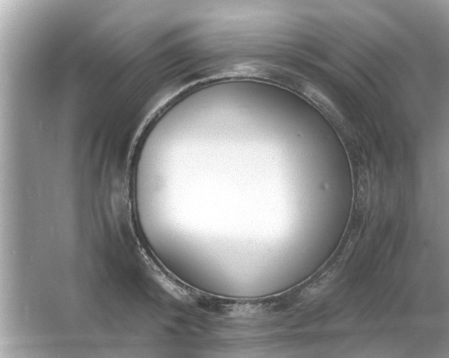 X0000063460800200601231417