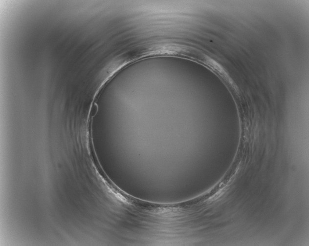 X0000063460802200601231417