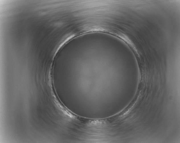 X0000063460806200601231417