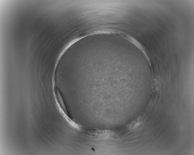 X0000063460811200601231416