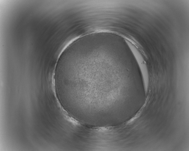 X0000063460814200601231416