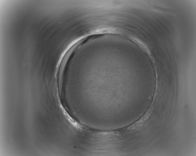 X0000063460816200601231416