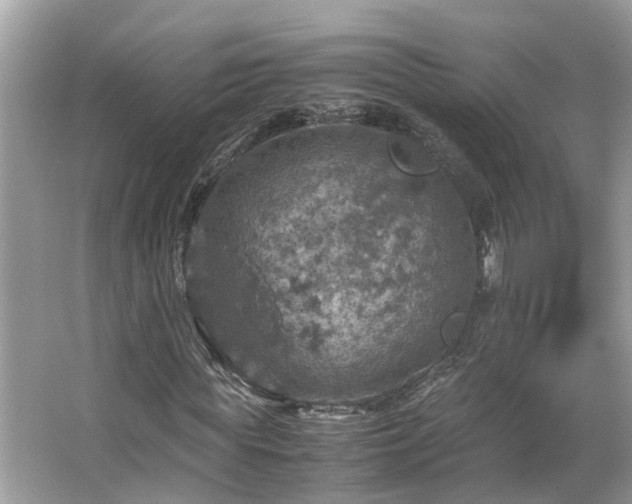 X0000063460819200601231416