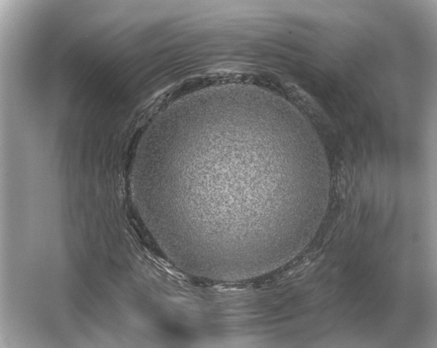 X0000063460821200601231416