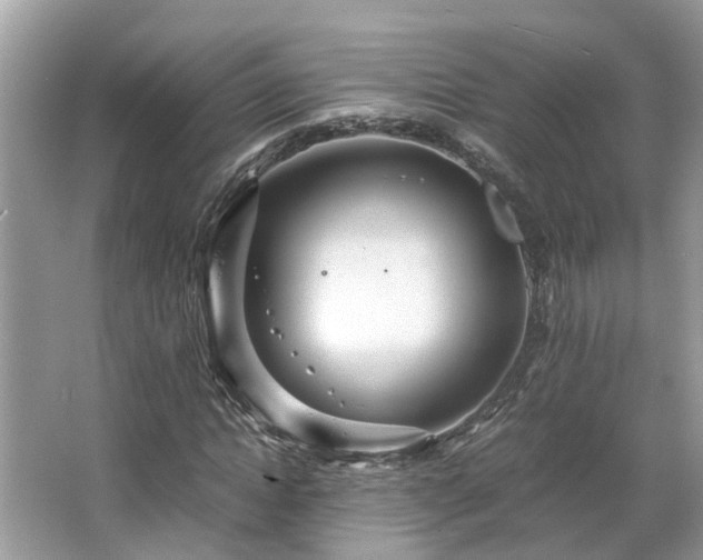 X0000063460822200601231416