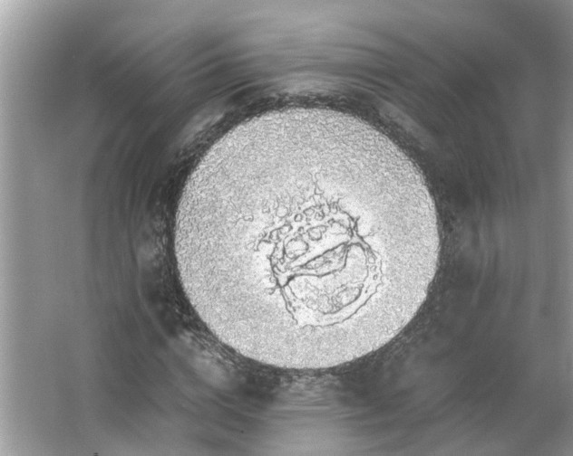 X0000063460824200601231416